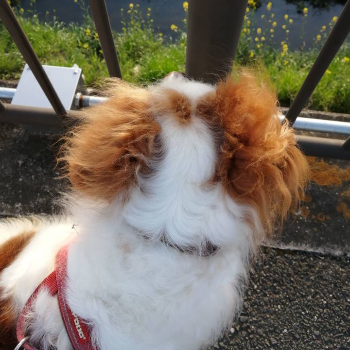 B20824a2 c2d5 4a08 be9c 923088047222 1617189638452