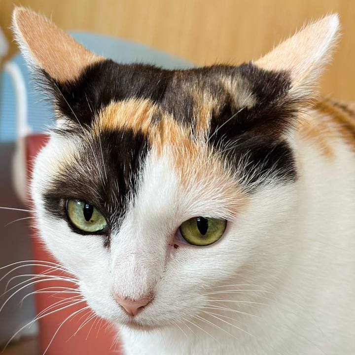 B208293e 8850 4fd7 bb29 1896034f7503 1694223441863