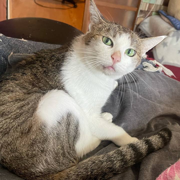 B2084374 0a03 4800 8317 0d304d42e7ad 1631232246901