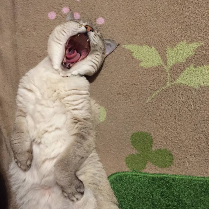 B2084f7b 4cbc 4f44 bbf4 09695bba87c1 1547375822417