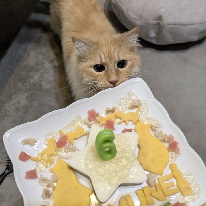 B2085376 c9c0 437f b402 a14932600c2d 1749640915984