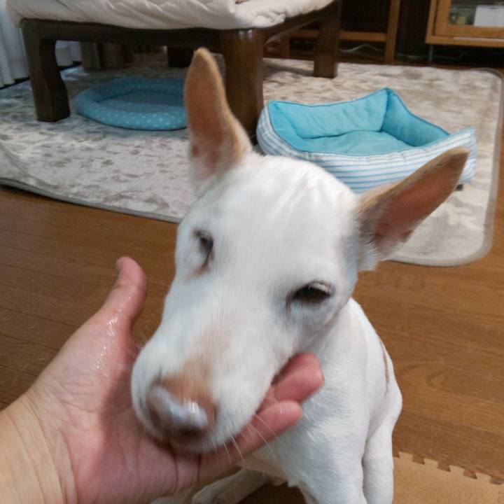 B208f013 2a38 4724 b10d 7b236782b109 1541806019293