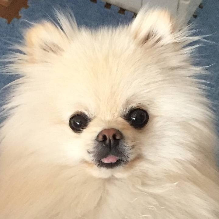 B2090f27 0a96 4c00 bd10 36a105c8106d 1520594378839