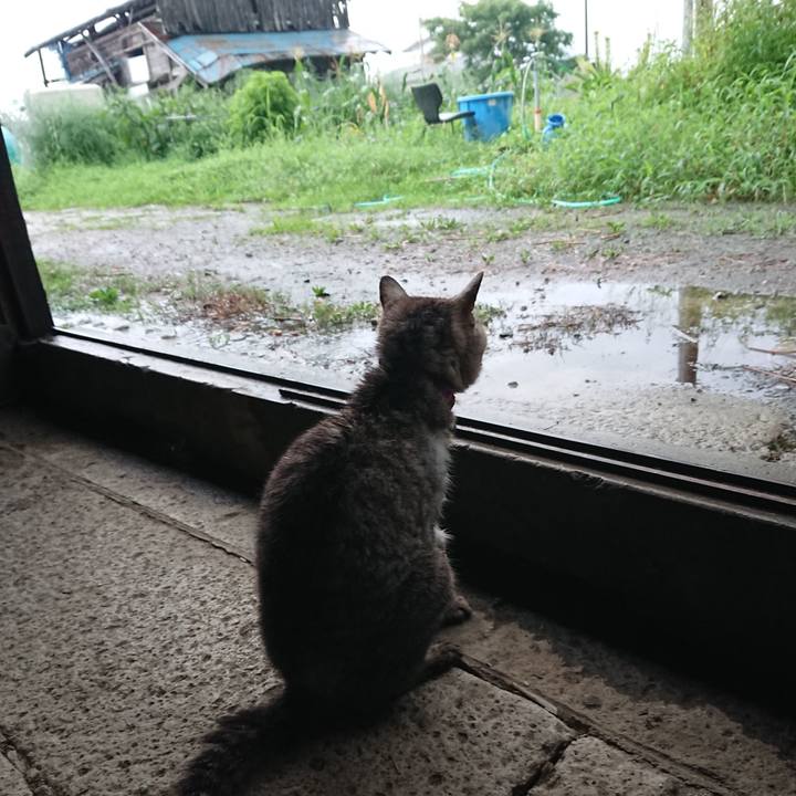 B20921ba 8877 4798 9439 d0c109b094db 1597525108860