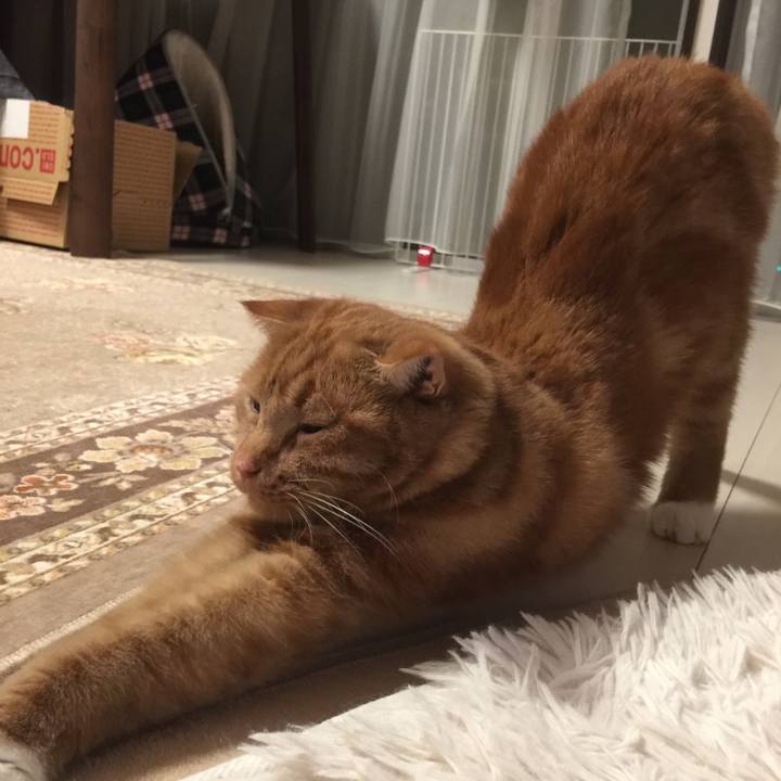 B20960cc 9d87 4202 94fa 789aac3ae761 1560861730392