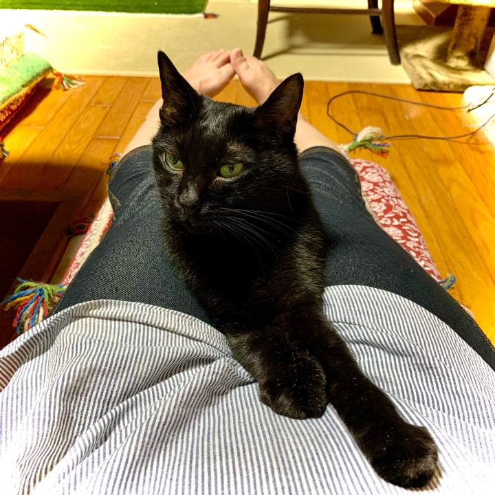 B2096a42 9439 4dce bd55 60e207e215e1 1626609112678