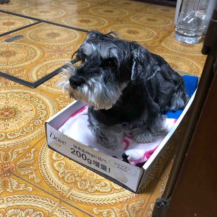 B209db5a bb82 4a64 88c4 5c4cb43f83e7 1654432572488