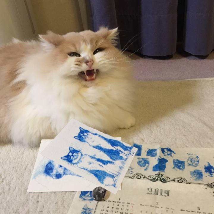 B20a5da4 fbff 4b32 9c7b d2f750bf31fd 1545835970552