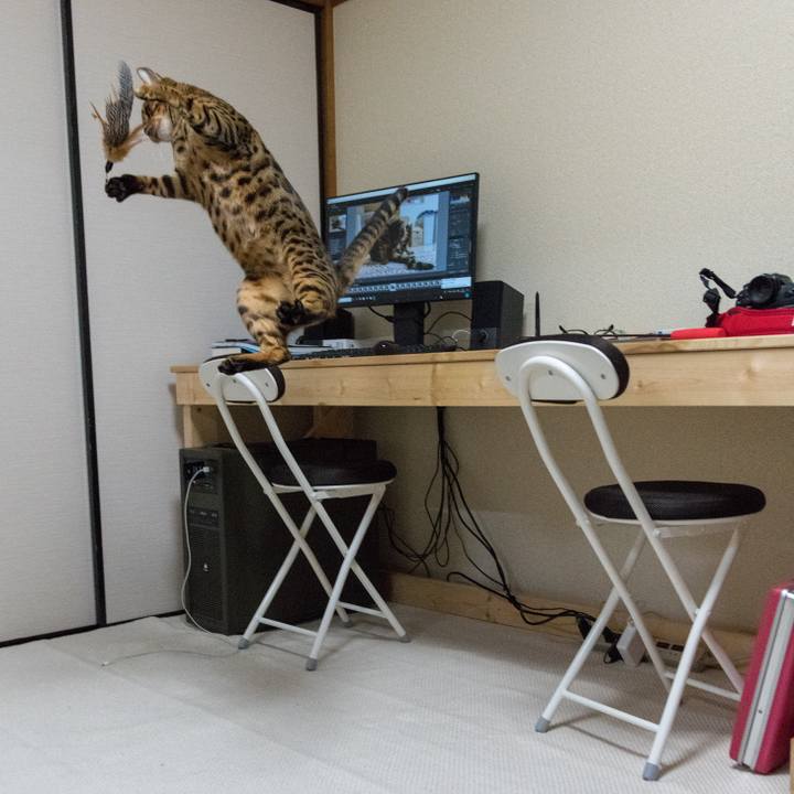 B20a6db7 0a51 4df9 8d37 3fda64f9706f 1518713530783