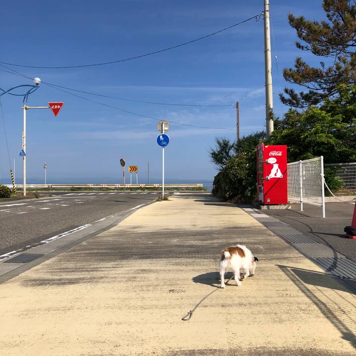 B20a77dc 7a8c 4db9 abbf 9fde831e95ce 1590881900367