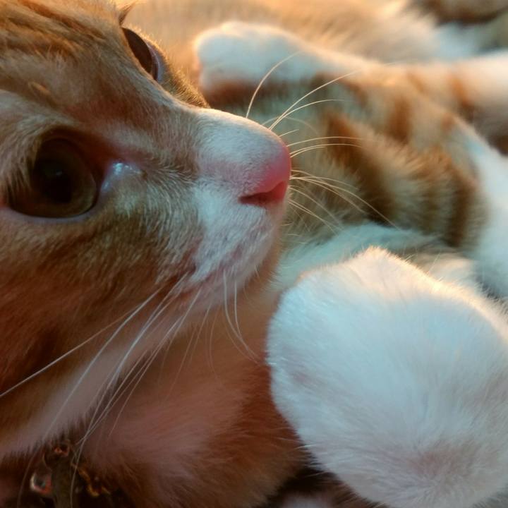 B20a87ef 27ae 4967 9af2 9daf1a3c67ef 1545476109547