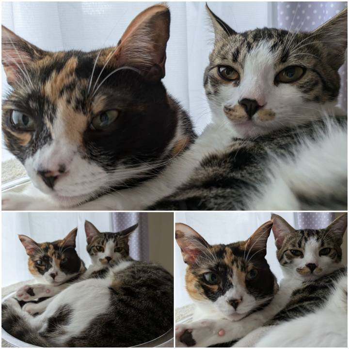 B20aa98e fad6 465f a27a 21f45b101aad 1730013865973