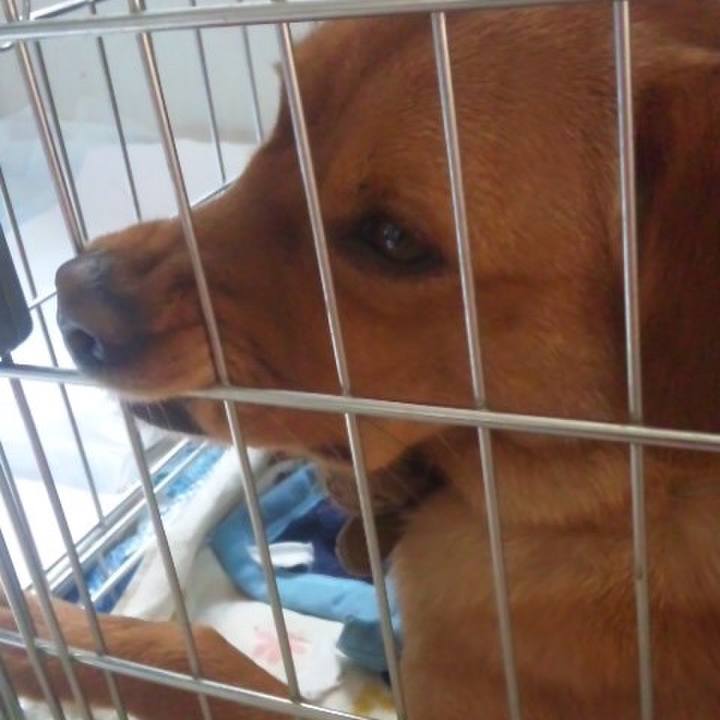 B20ad9b1 5c70 4d0e bc52 85e961aed6b6 1518052269528