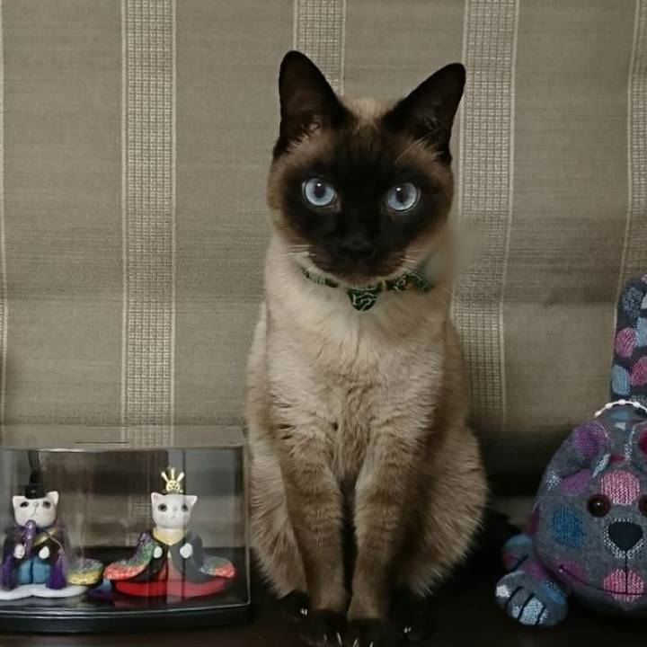 B20affa5 e481 4bca 8a08 7e72b02271ce 1518004144705