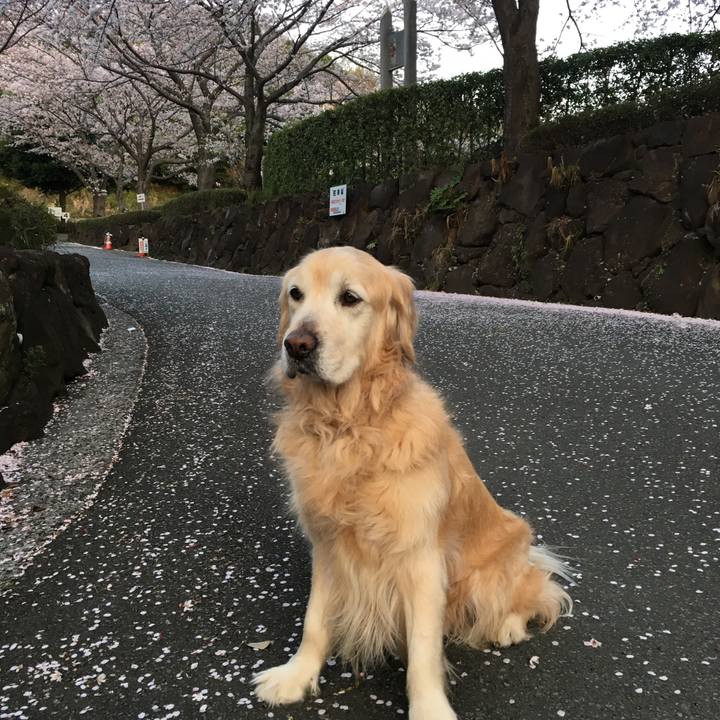 B20b0122 34f2 40ad a747 43ea44cb1ab6 1522446552797