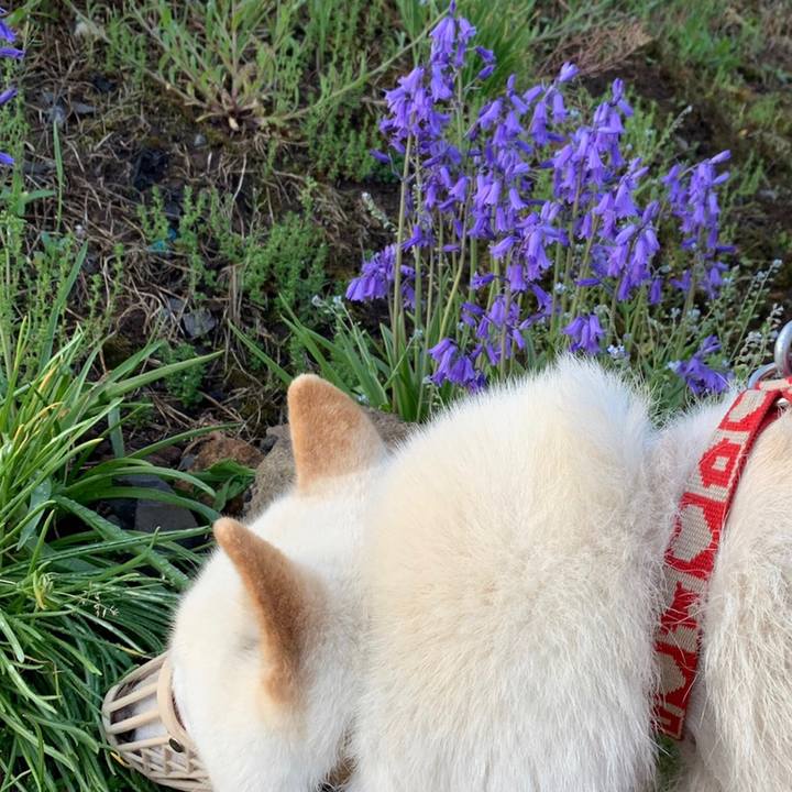 B20b5785 6456 45b4 a8c2 3d861e591ec6 1559336981139