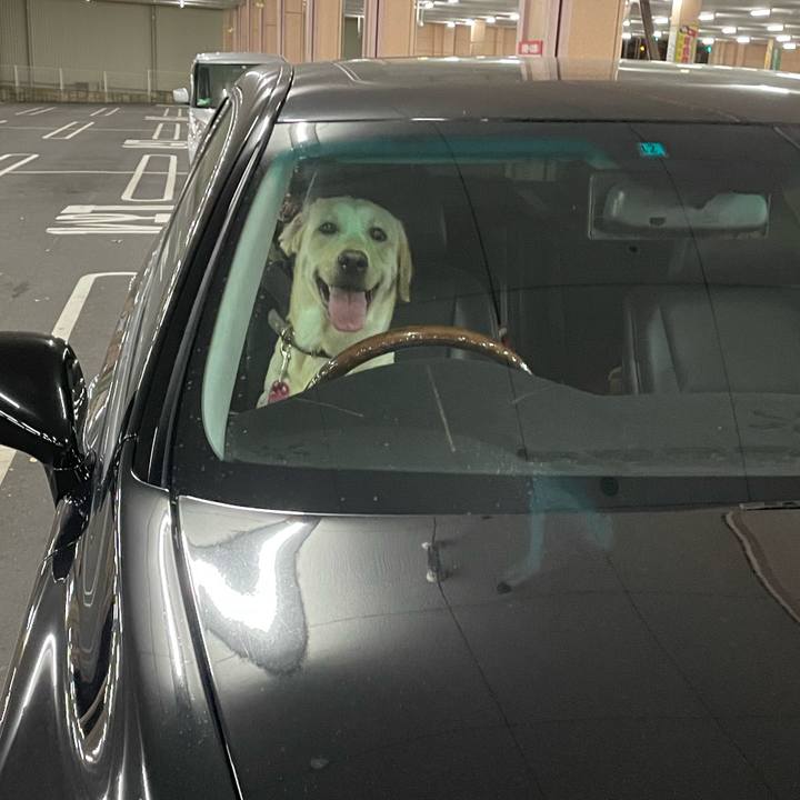 B20b58a1 ea8b 41ae 9d19 82bbce8f16c9 1662762525297