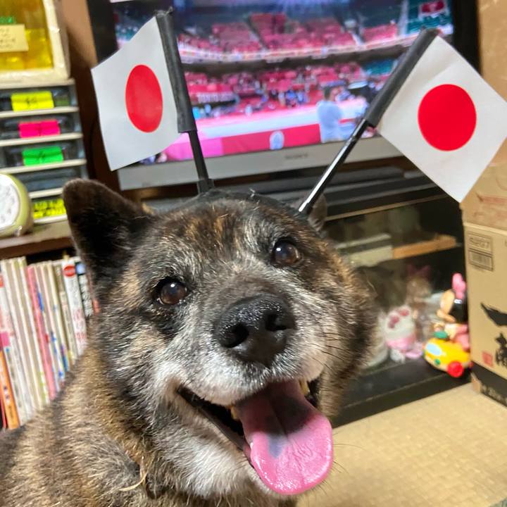 B20b807b 0a5d 40ae b740 9cfda1acc75f 1627383628686