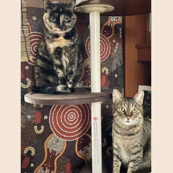 B20b814e 3381 4bad 9f5f c336bed448af 1763451797652