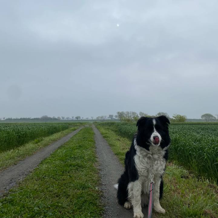 B20ba25a 36e4 443d 82a0 5dbb678b3ca8 1617062522858