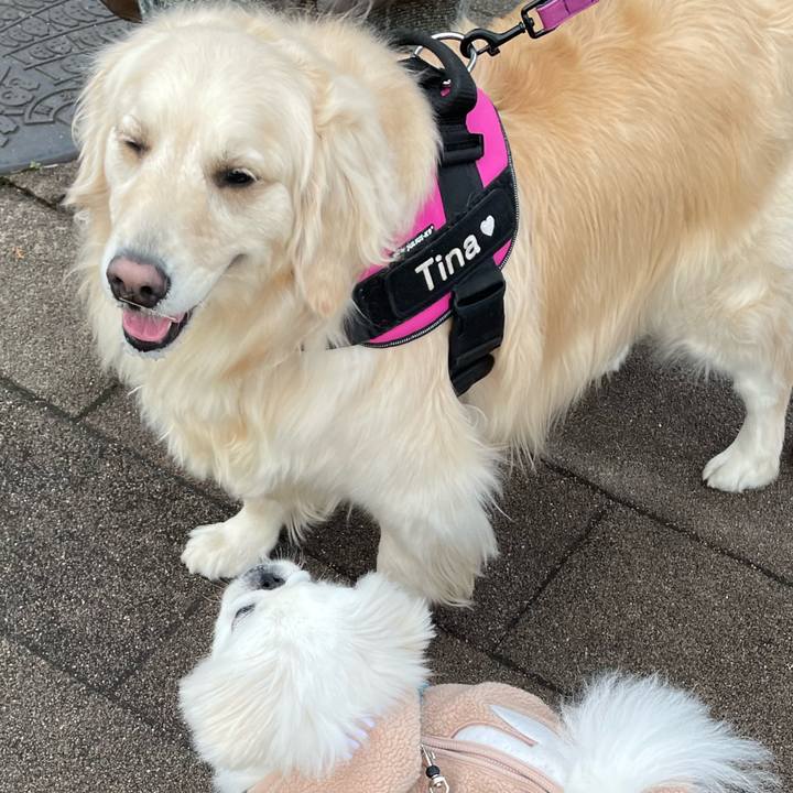 B20c29a9 4a9c 49b8 a0cc d321fd8f0b03 1673601674743