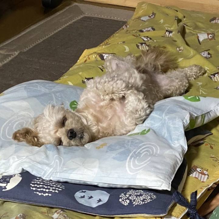 B20c3331 800a 482e a5f7 713542c1d2e8 1632629434131