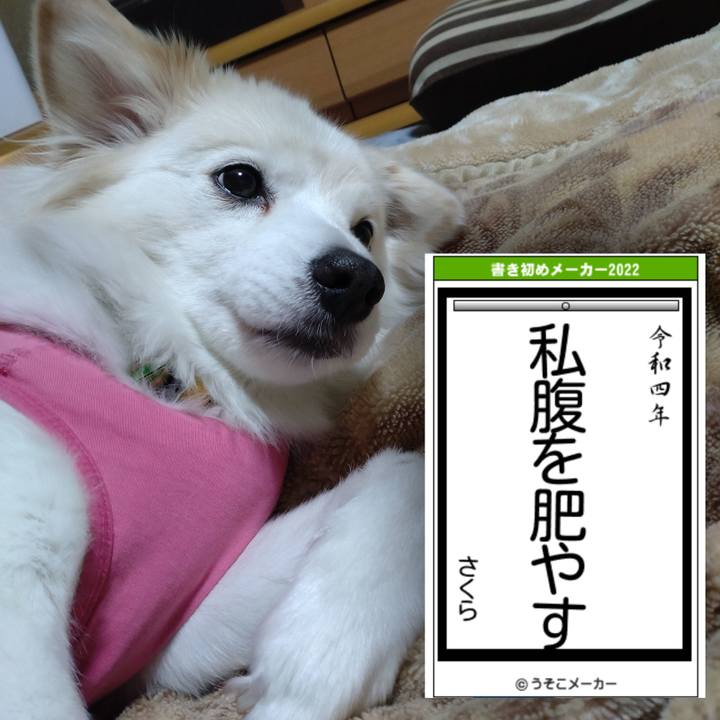 B20c75b7 4072 4fb3 ae75 455e348e9fd8 1641389151703