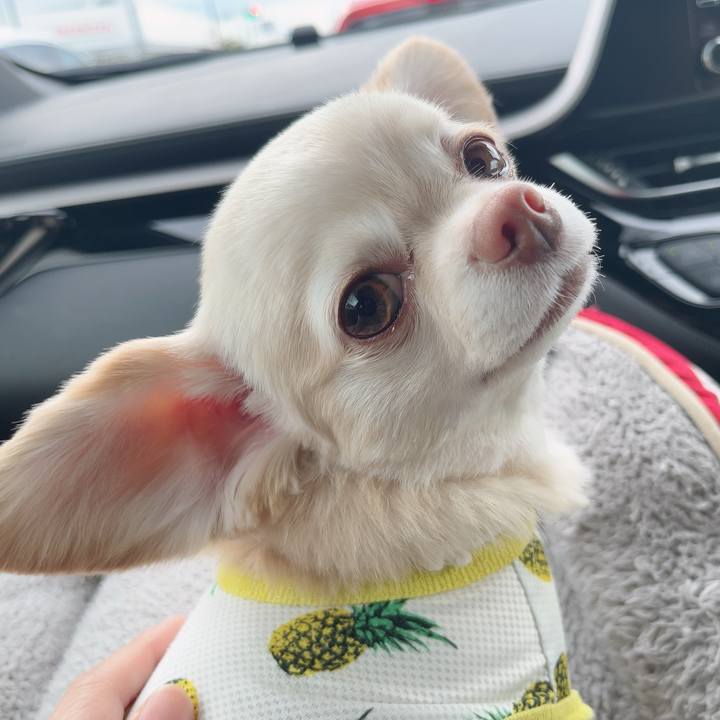 B20d055c e904 4d54 823c 3ff8b7327558 1722162092232