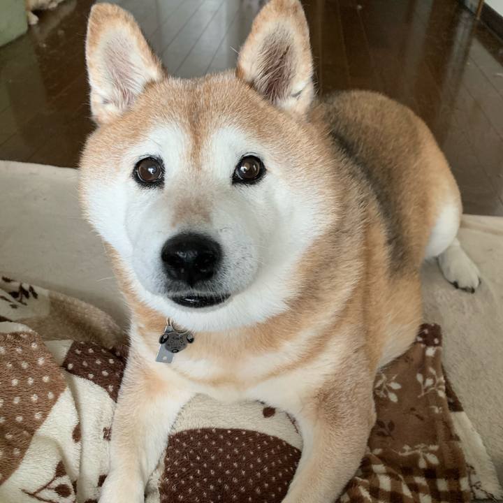 B20da20d 5d95 4af4 8d78 023bdff741aa 1586060849037