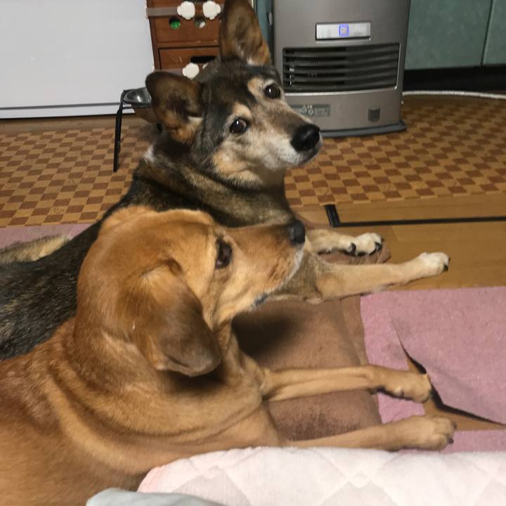 B20dcba6 c403 4179 9ad7 70a7e64ff771 1548885749380