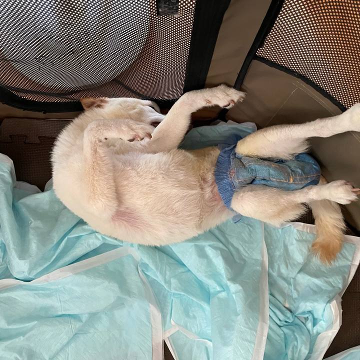 B20dd050 2d73 4587 9c8c 93260296cc68 1661495568021