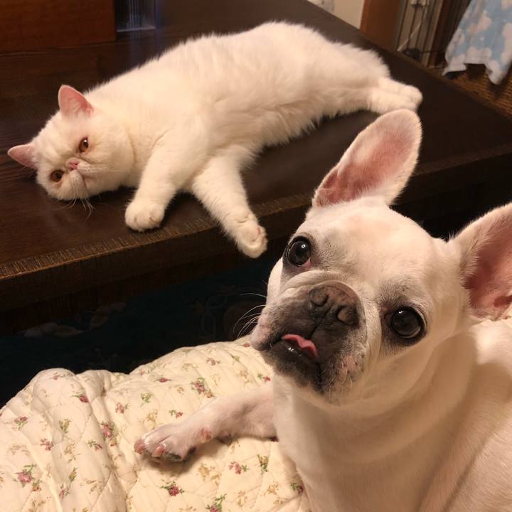 B20dfa4c 5b09 43b6 8fb8 cf80e441d824 1627897839107