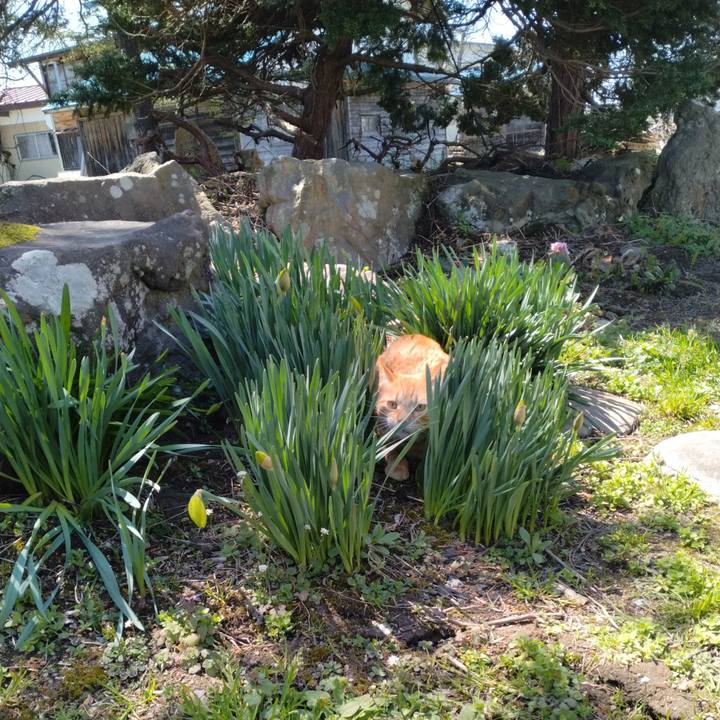 B20e158f ae56 4150 94f0 b9ff6c46a331 1681102605229