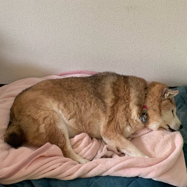 B20e2075 b179 4d97 9dd6 9ce153322c93 1648945424945