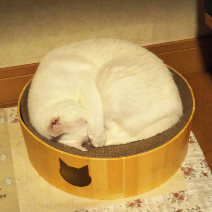 B20e2a76 c8fc 440f bbba 54fdb228fee6 1576324833487