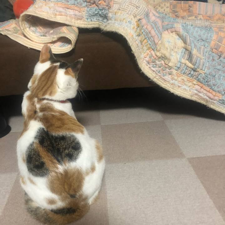 B20e43a2 4ac3 4be5 9d40 ad8488644151 1581083943245