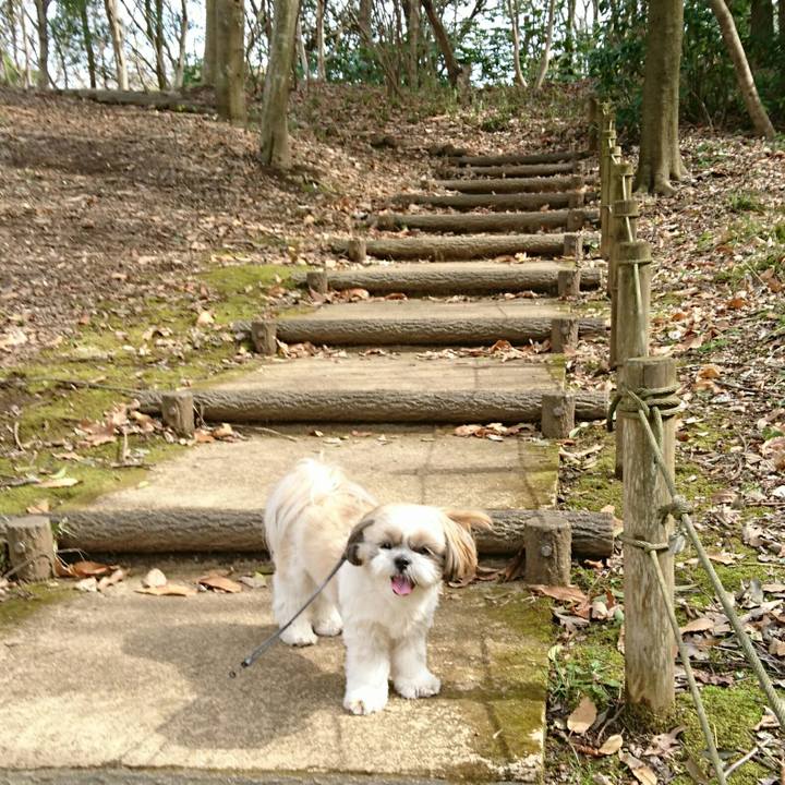 B20e4546 9f40 4646 bfbb cd2b567b2c8f 1521359666870