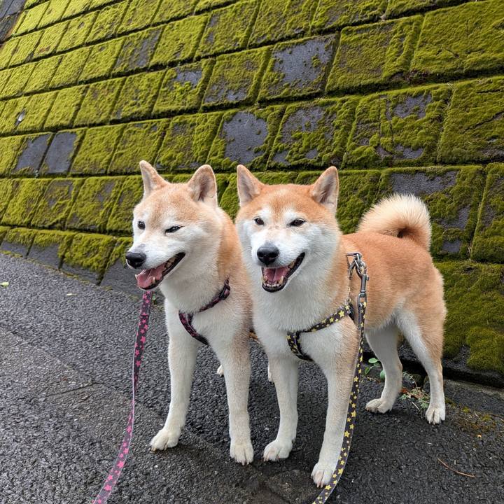 B20e525e 5be2 48d1 b62e b2ea5c2c4ae4 1752631708792