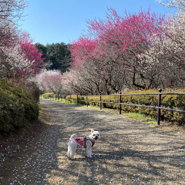 B20e6166 d97b 48ee a475 e09324f7eb11 1740886612058