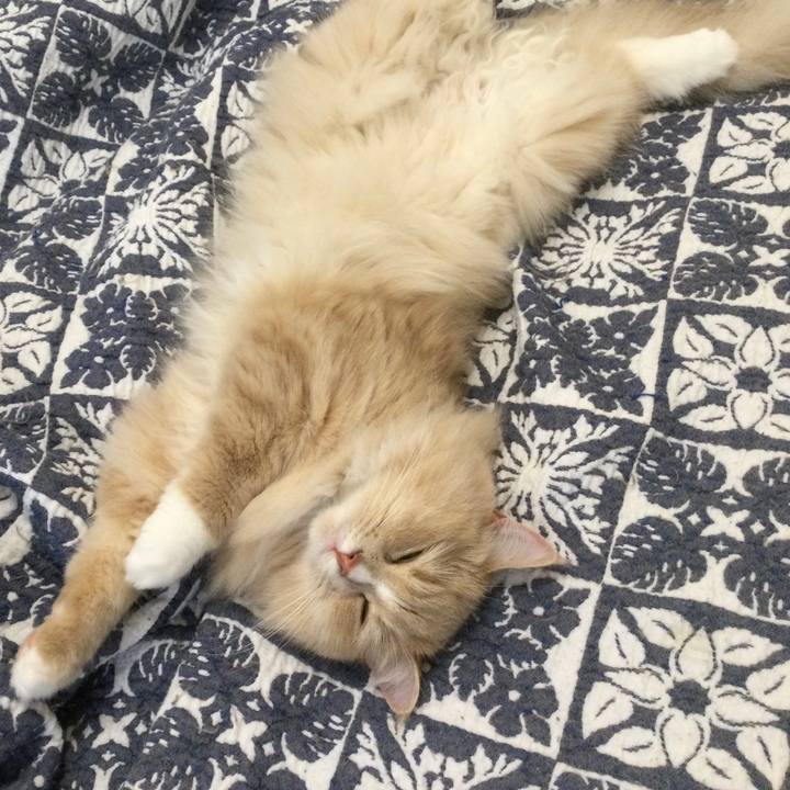 B20e71e4 e89e 4b59 841e f5690fd4e658 1621252907332