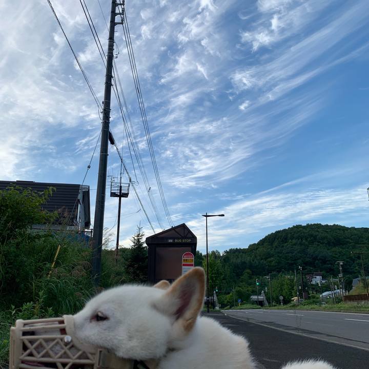 B20e78c3 4a57 4bfe 886f 9e1c50bf18ac 1566336620600