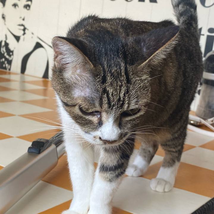 B20e8db5 a271 4e94 a8db 90fd8f41e4fa 1694823337576