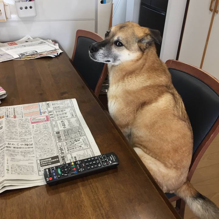 B20e8e98 da35 4ed0 8ace 3216563b726f 1524877023010