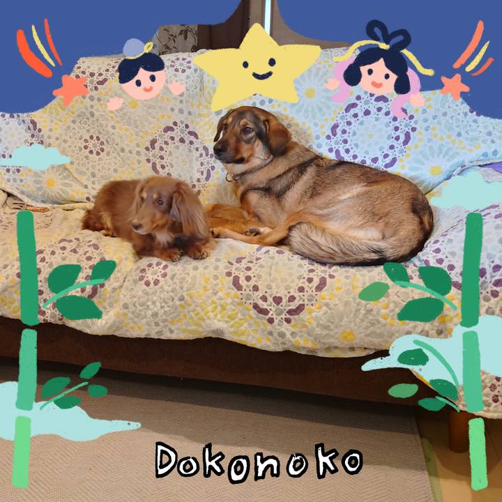 B20ec94d 34f4 488d 9243 c9001019aceb 1720830680478