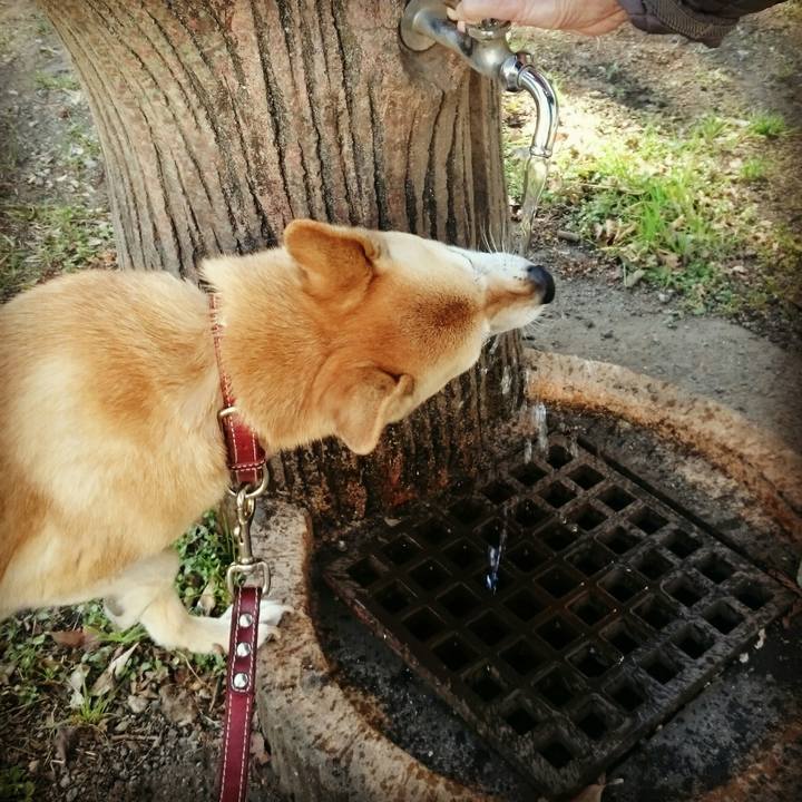 B20ed470 a9cc 4651 9d92 7cc0441c616c 1551193278567