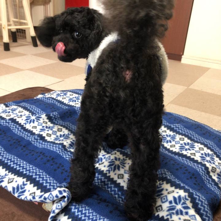 B20ed5dc d606 4432 ae7c 1f25a5fa6a11 1556589910701