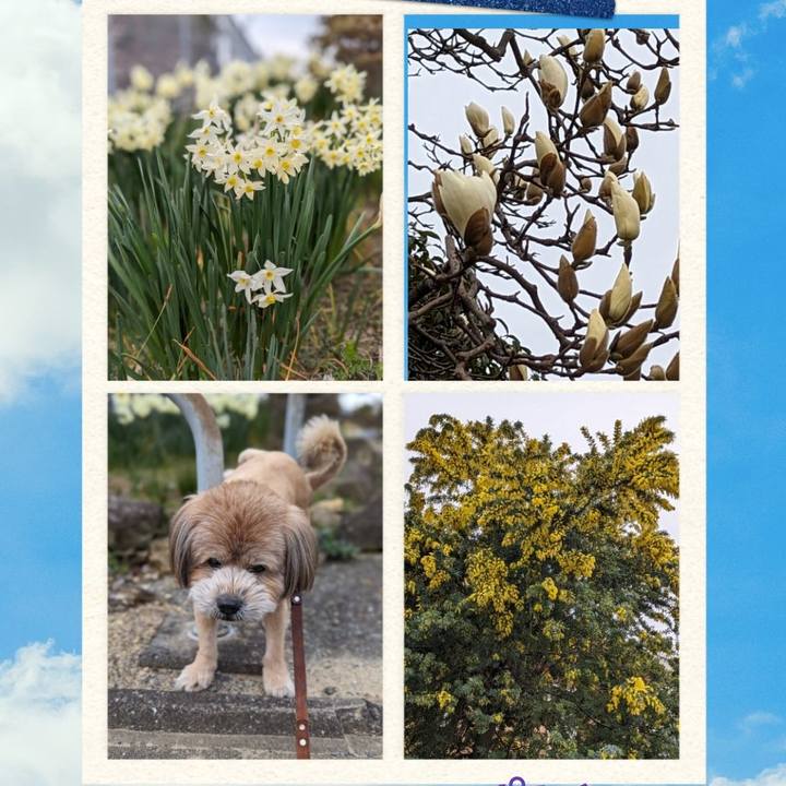 B20eeb78 d0eb 40d6 9b68 b9a806662b47 1709111803425