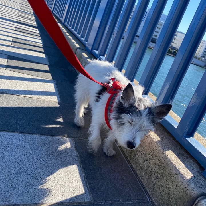 B20ef190 75f3 441d a4c2 414891f0350d 1610195207451