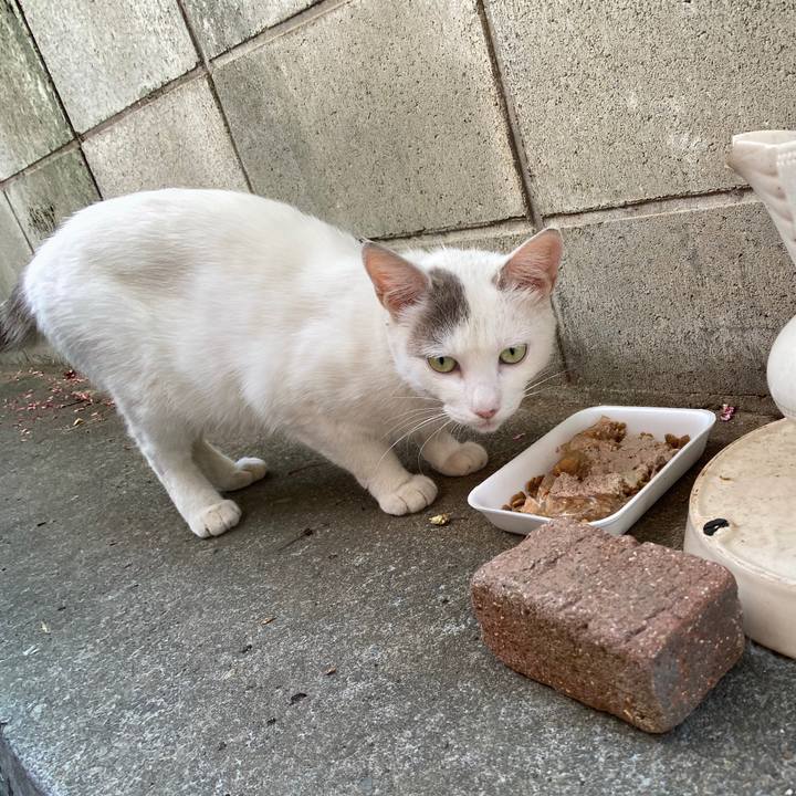 B20ef9fa 6a42 4822 87a8 2458935b90ce 1592262182952