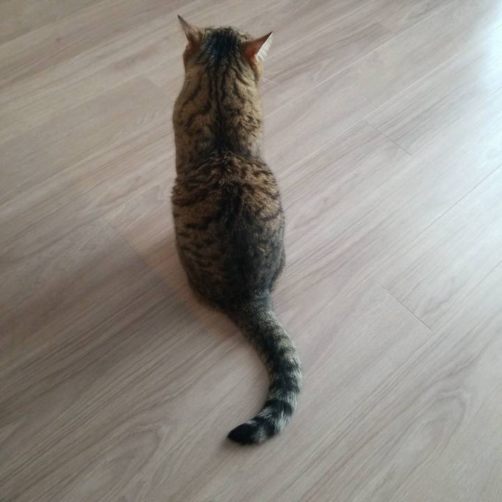 B20efc0f f2e6 448a 84d5 90f379dc1f52 1585863718889